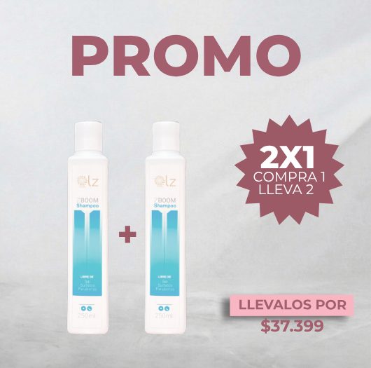 PROMO COMPRA 1 ZBOOM, LLEVA GRATIS UNO IGUAL